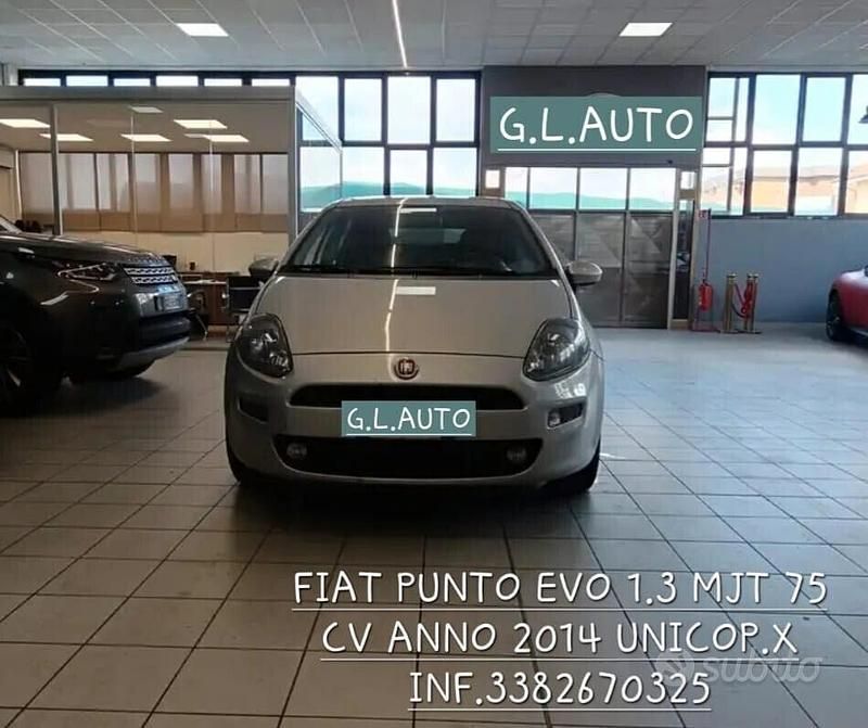 Usata Fiat Punto Evo Lounge 75 CV (55 kW) 2014 Grigio Utilitaria