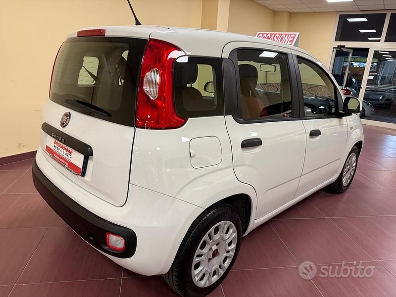 Usata Fiat Panda Easy 69 CV (50 kW) 2017 Bianco Berlina