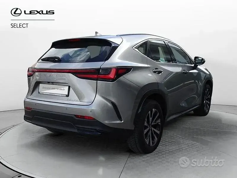 Usata Lexus NX350h Business Edition 243 CV (178 kW) 2023 Grigio SUV