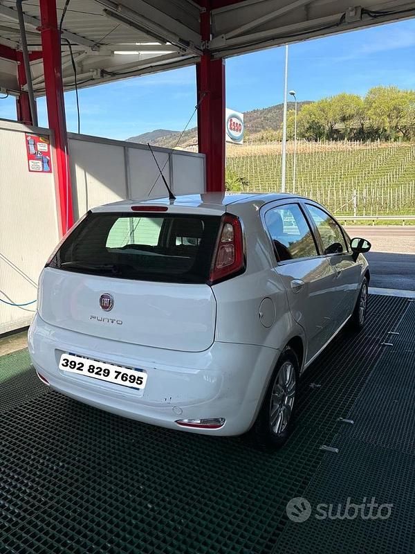 Usata Fiat Punto Easy 77 CV (56 kW) 2013 Bianco Utilitaria