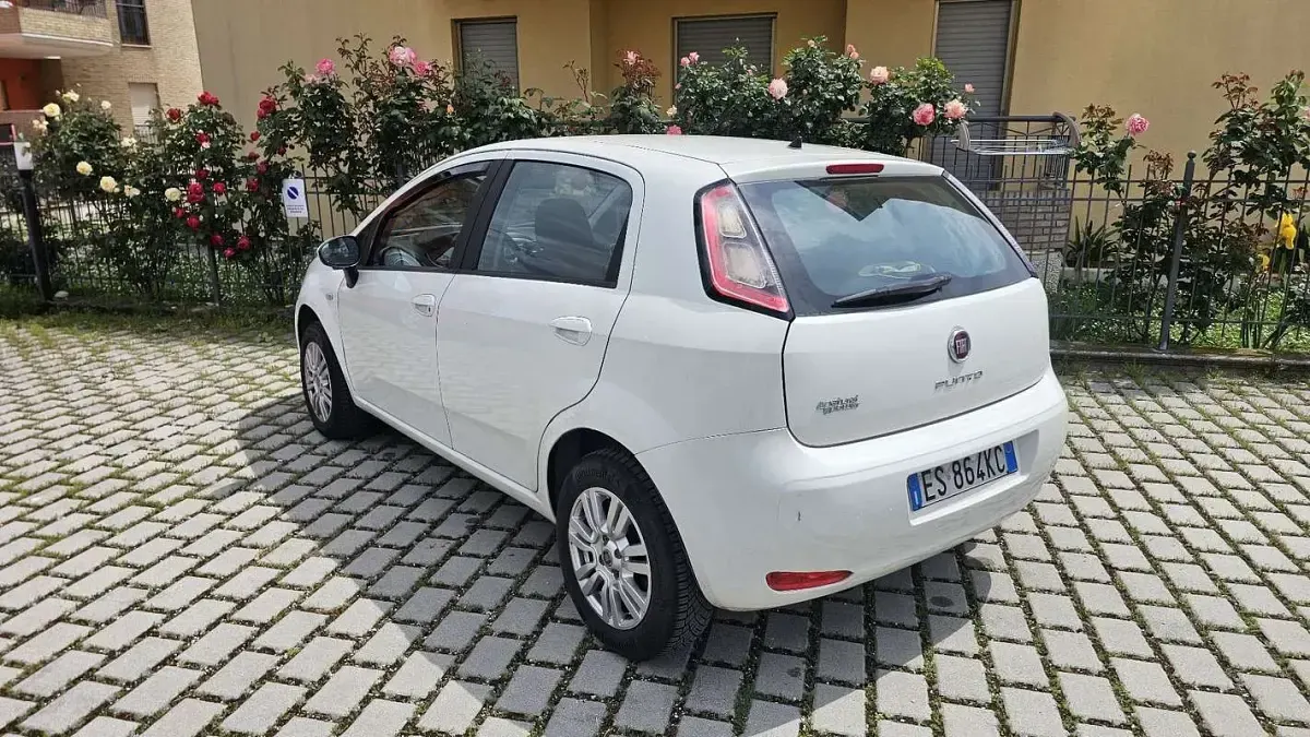 Begagnad Fiat Punto 77 HK (56 kW) 2013 Vit Halvkombi