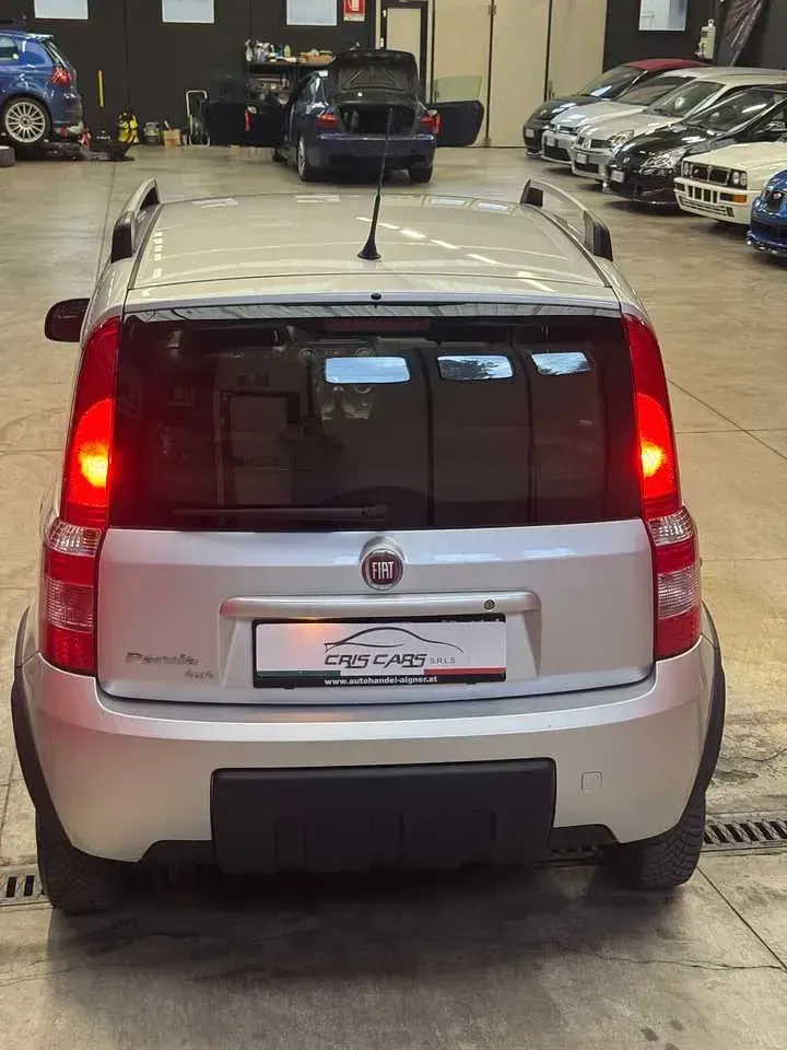 Usata Fiat Panda 4x4 Climbing 69 CV (50 kW) 2012 Grigio Utilitaria