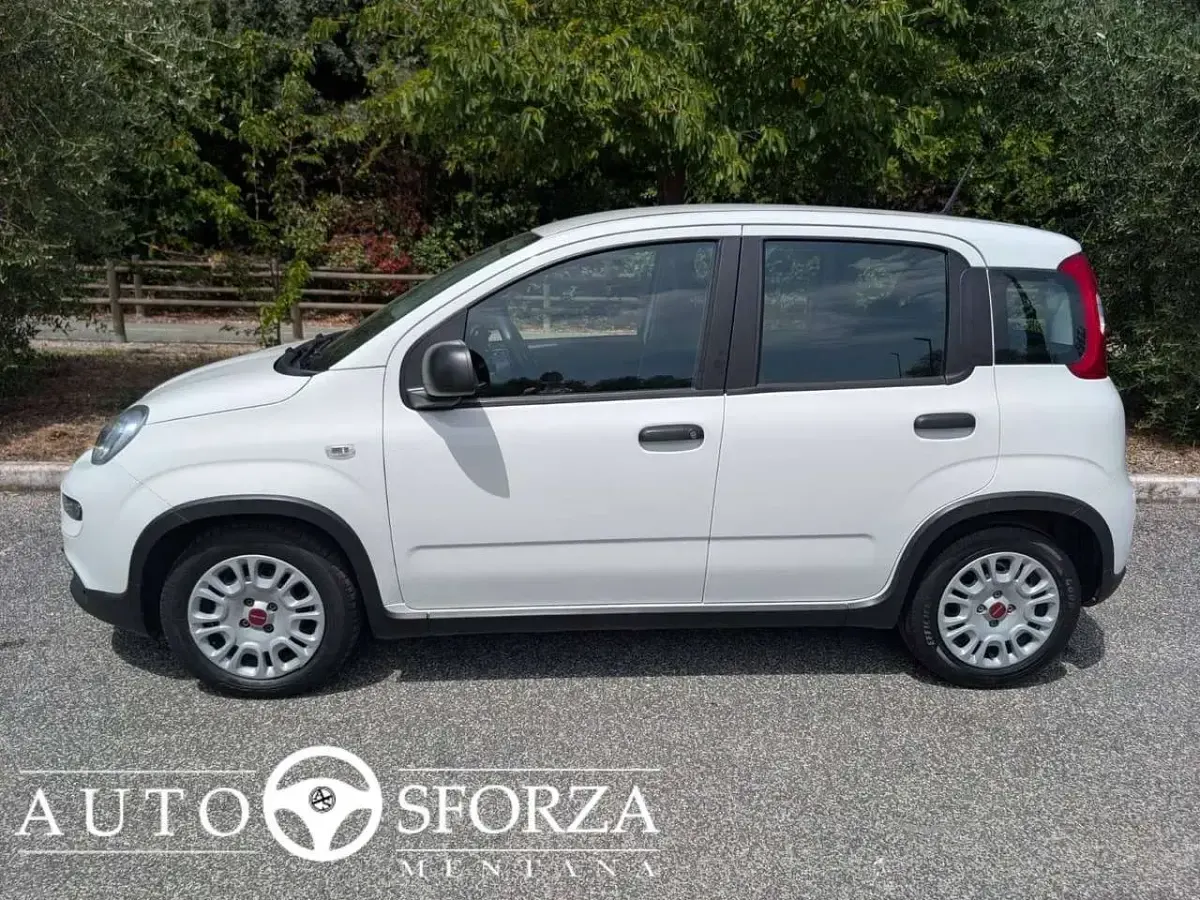 Usata Fiat Panda 69 CV (50 kW) 2023 Bianco Utilitaria