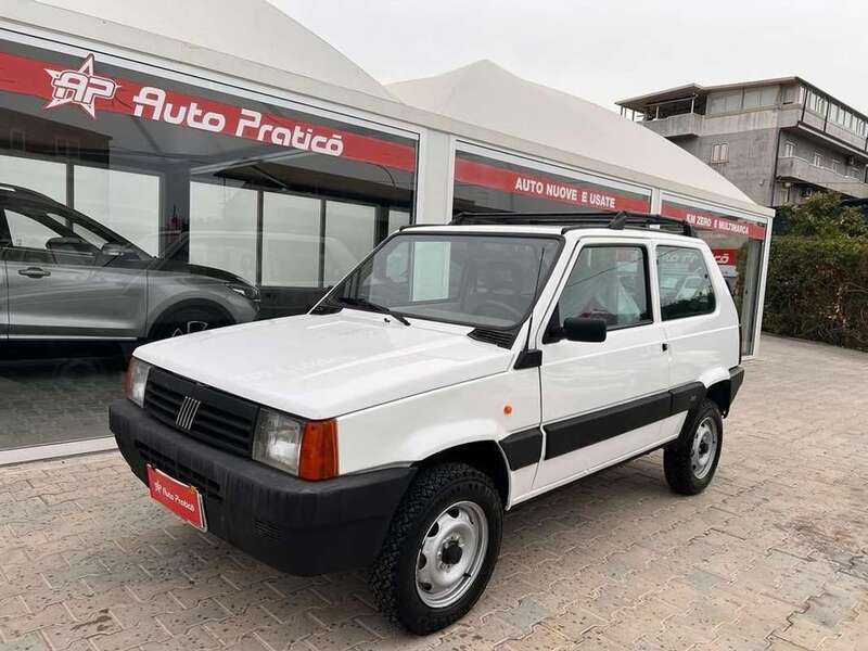 Venduto Fiat Panda 4x4 1.1 Trekking - auto usate in vendita
