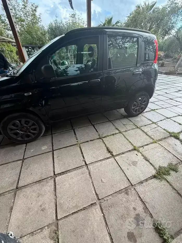Usata Fiat Panda 85 CV (62 kW) 2013 Utilitaria