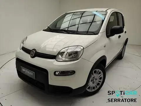 Usata Fiat Panda 69 CV (50 kW) 2024 Utilitaria