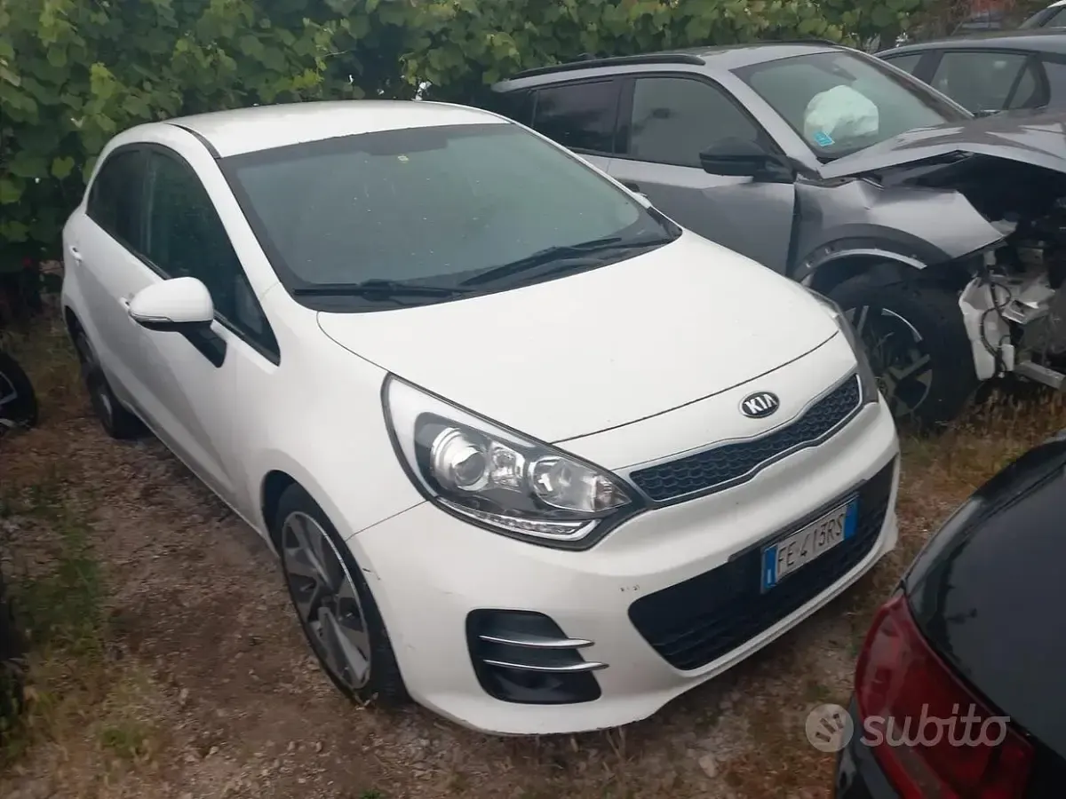 Usata Kia Rio Active 90 CV (66 kW) 2016 Bianco Utilitaria