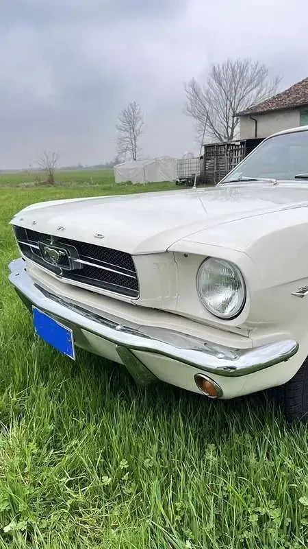 Usata Ford Mustang 166 CV (122 kW) 1964 Bianco Coupé