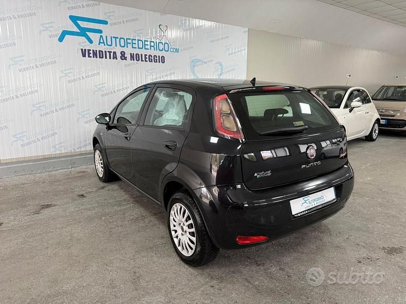 Usata Fiat Punto Street 69 CV (50 kW) 2014 Nero Utilitaria