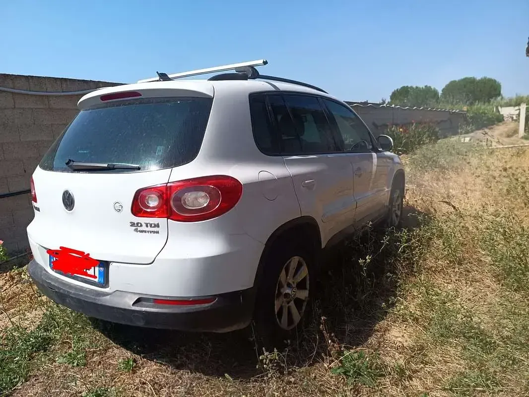 Usata VW Tiguan 140 CV (102 kW) 2010 Bianco SUV