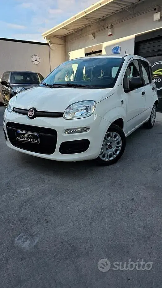 Usata Fiat Panda Easy 69 CV (50 kW) 2020 Bianco Utilitaria