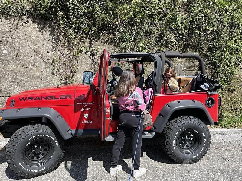 Usata Jeep Wrangler 177 CV (130 kW) 2001 Rosso SUV