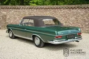 Usata Mercedes 220 SE 120 CV (88 kW) 1964 Verde Cabrio