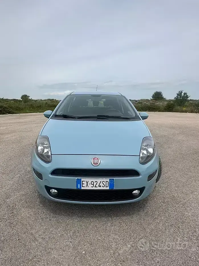 Usata Fiat Punto Evo Lounge 69 CV (50 kW) 2014 Utilitaria