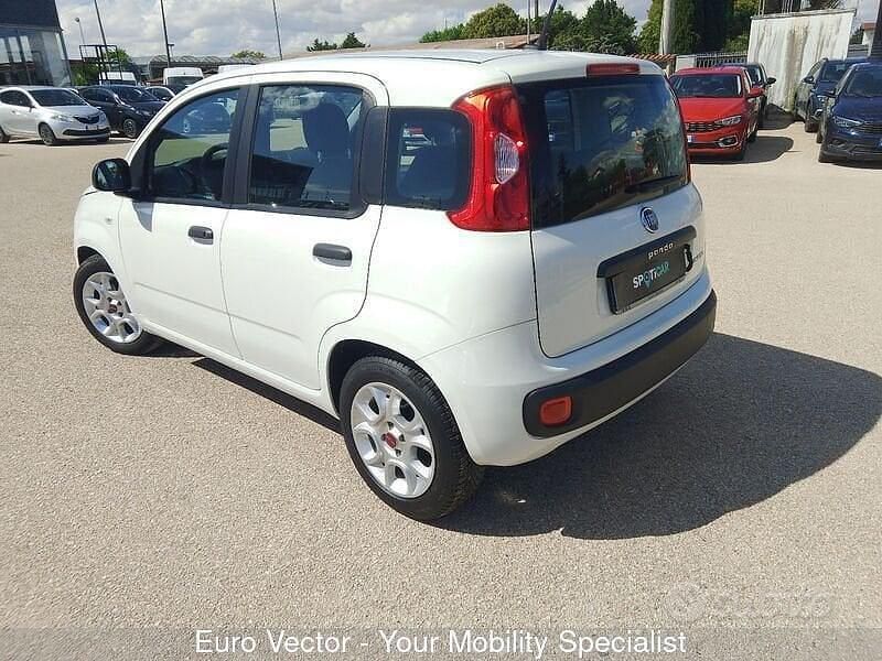 Usata Fiat Panda Launch Edition 69 CV (50 kW) 2020 Bianco Utilitaria