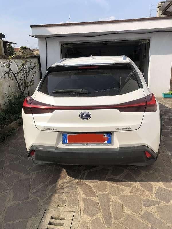 Usata Lexus UX 250h Executive Line 152 CV (111 kW) 2019 Bianco SUV