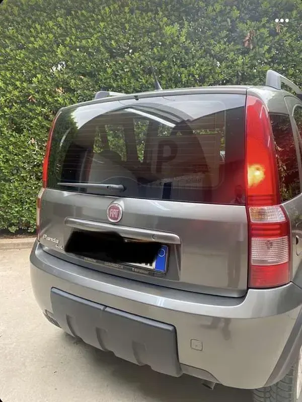 Usata Fiat Panda 4x4 Climbing 69 CV (50 kW) 2011 Grigio Utilitaria