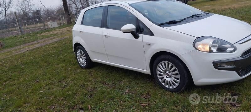 Usata Fiat Punto Evo 75 CV (55 kW) 2011 Bianco Utilitaria