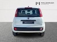 Nuova Fiat Panda Icon 65 CV (47 kW) 2026 Bianco Utilitaria
