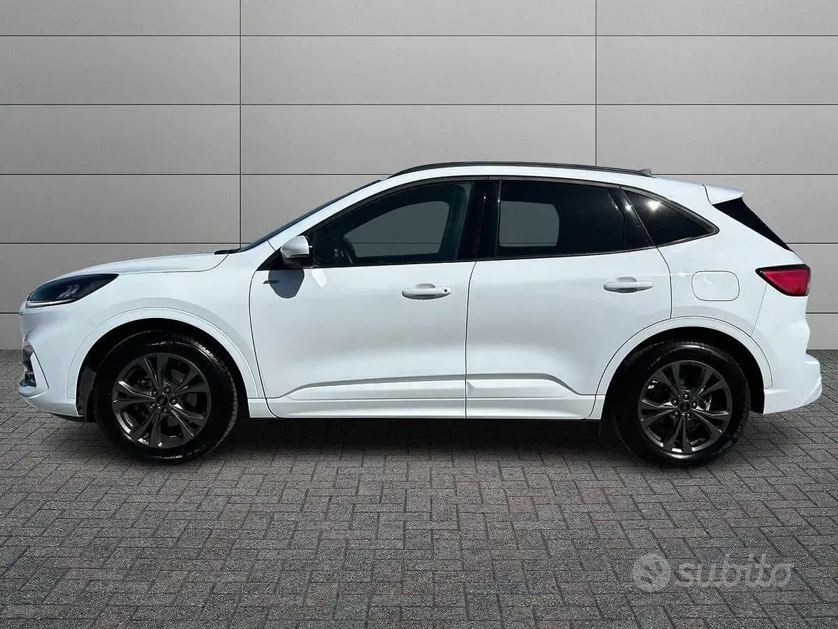 Usata Ford Kuga ST-Line 150 CV (110 kW) 2023 Bianco SUV