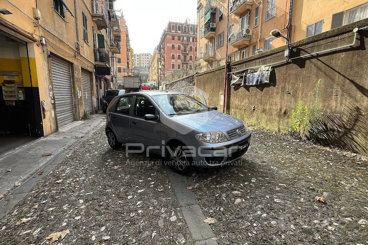Usata Fiat Punto Classica 60 CV (44 kW) 2009 Bluazzurro Utilitaria