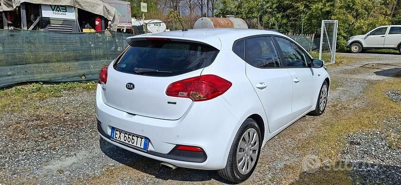 Usata Kia Ceed Active 90 CV (66 kW) 2015 Bianco Utilitaria
