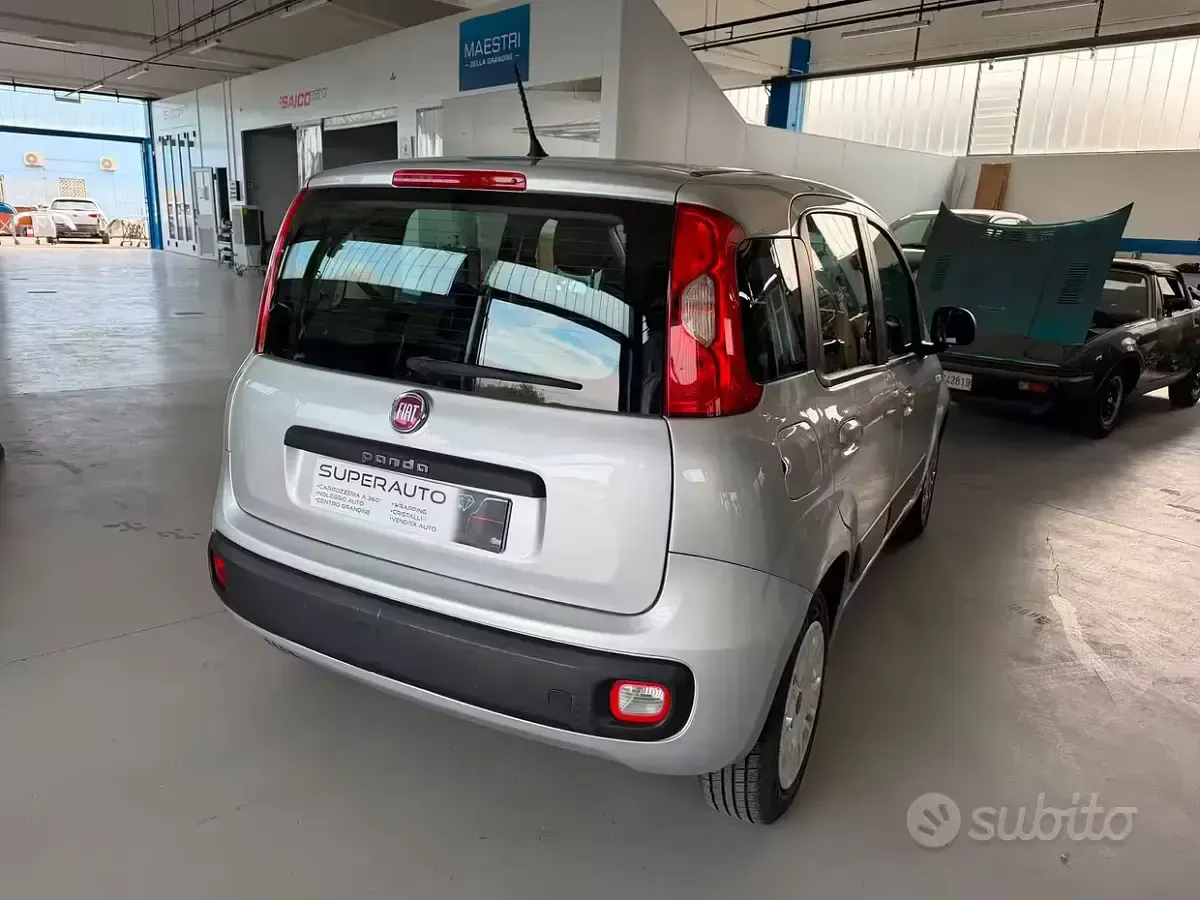 Usata Fiat Panda Easy 69 CV (50 kW) 2017 Grigio Utilitaria