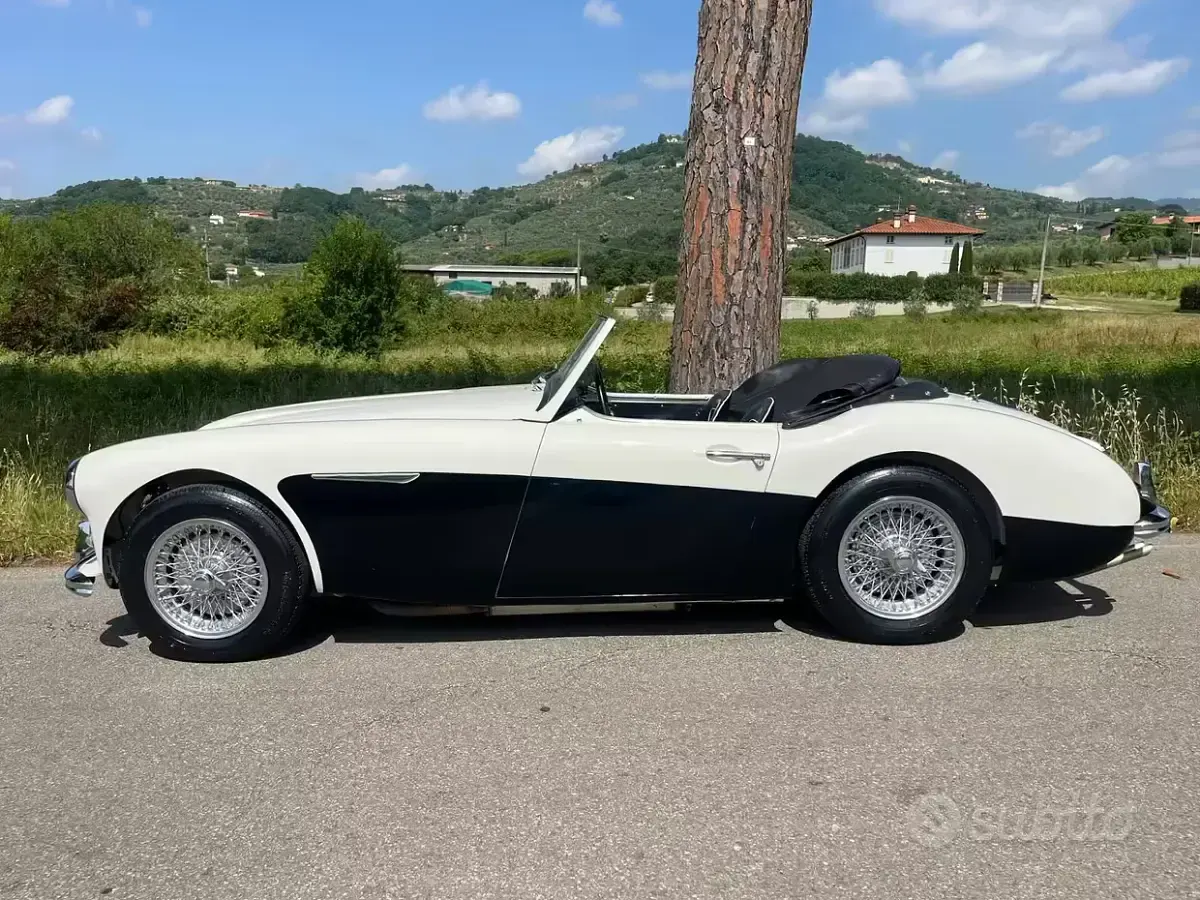 Usata Austin Healey 100/6 1950 Bianco Cabrio