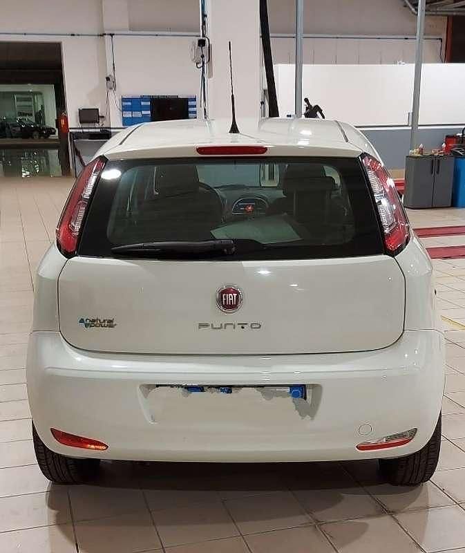 Usata 2014 Fiat Punto Young Tre volumi | 4500 € (Buon prezzo) - Immagine 1/4