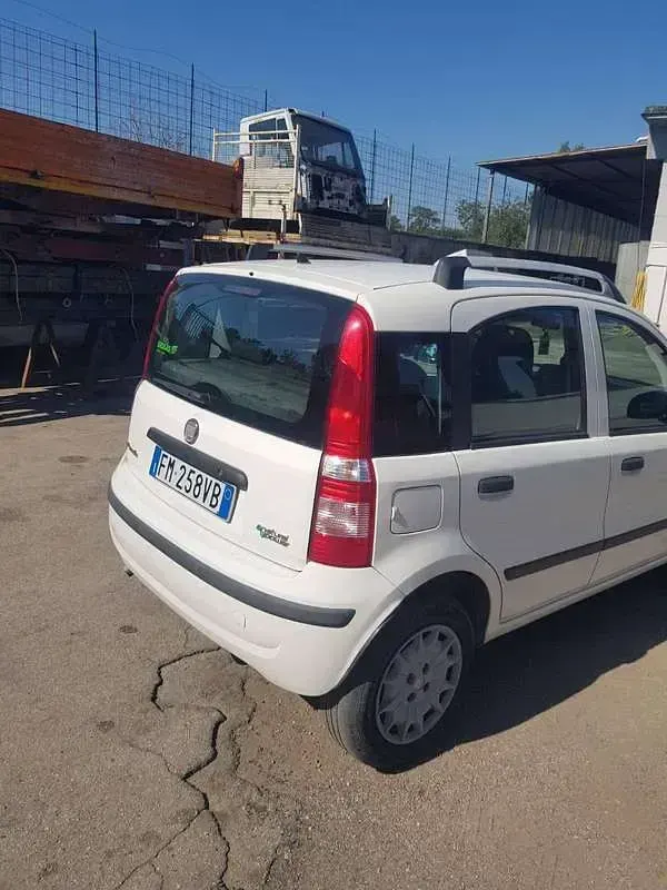 Usata Fiat Panda Active 77 CV (56 kW) 2012 Bianco Utilitaria
