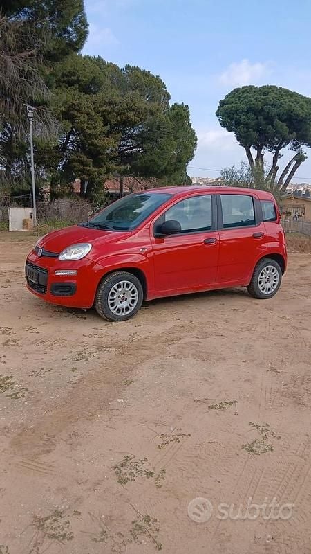 Usata Fiat Panda Lounge 69 CV (50 kW) 2019 Rosso Utilitaria