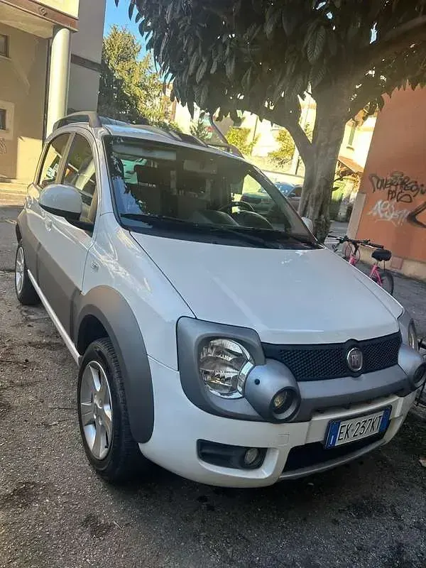 Usata Fiat Panda 4x4 Cross 75 CV (55 kW) 2011 Utilitaria