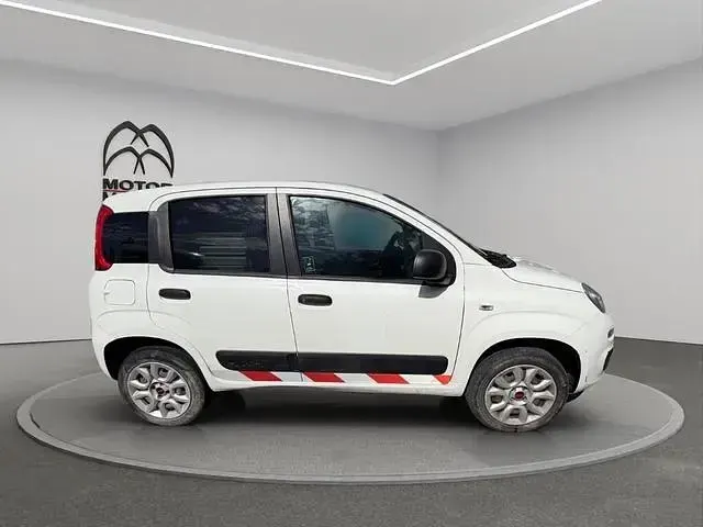 Usata Fiat Panda 4x4 Pop 85 CV (62 kW) 2019 Bianco Utilitaria