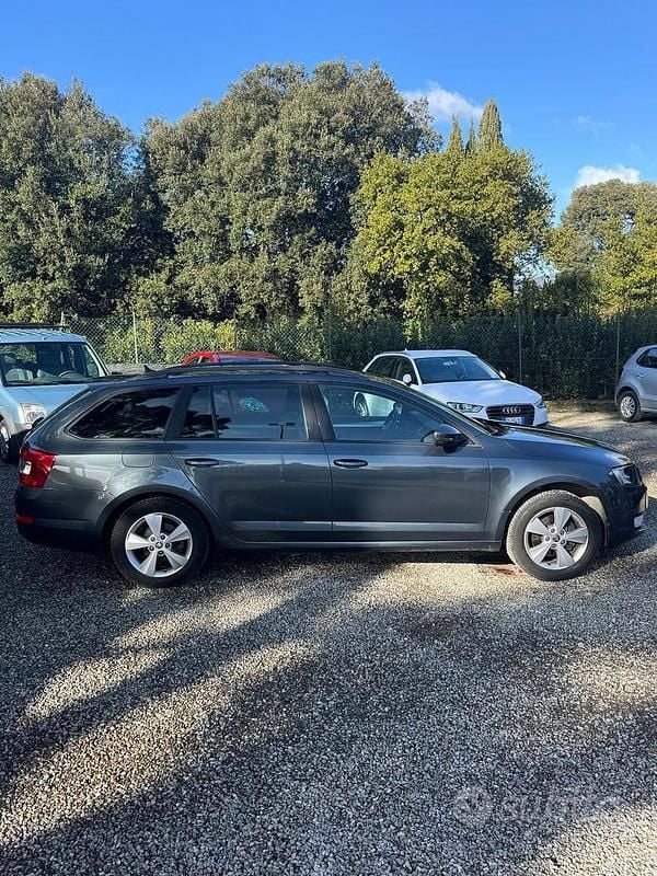 Usata Skoda Octavia G-TEC Executive 110 CV (80 kW) 2015 Grigio Station wagon