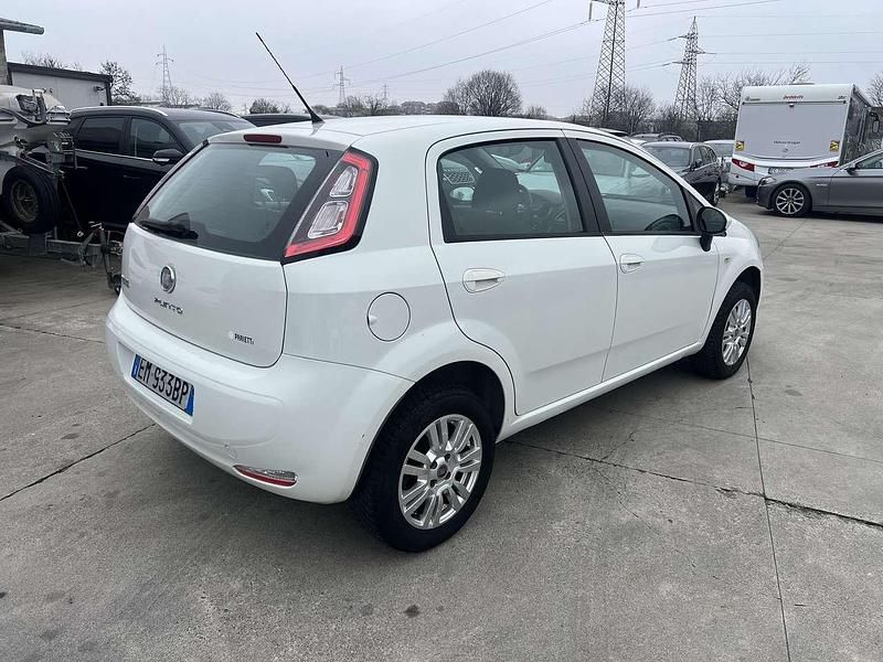 Usata Fiat Punto Evo Active 77 CV (56 kW) 2012 Other Utilitaria