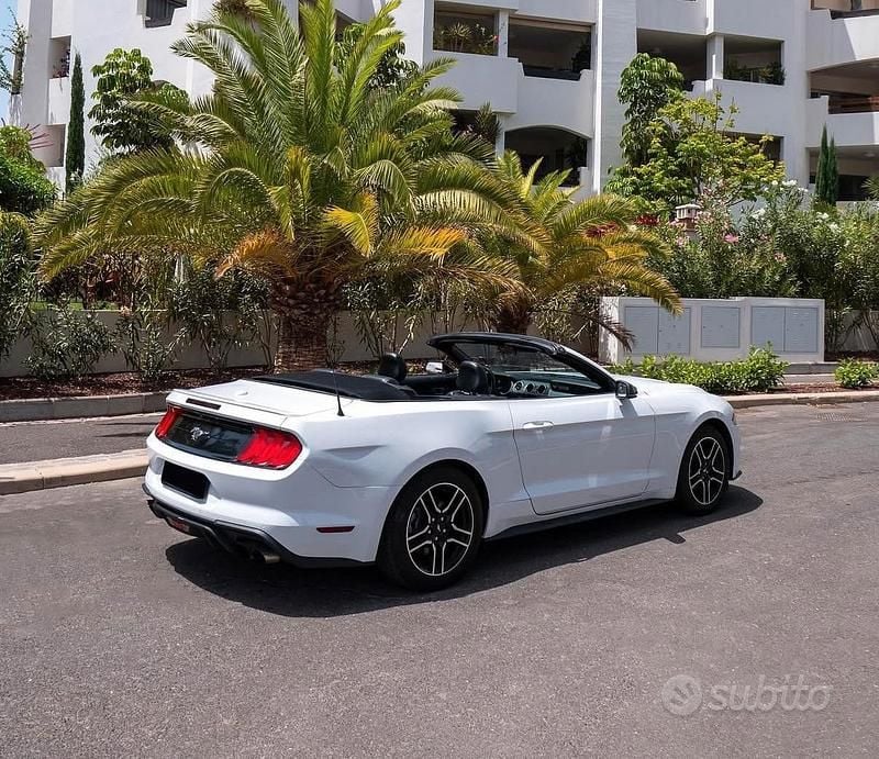 Usata Ford Mustang Convertible 310 CV (228 kW) 2021 Bianco Cabrio