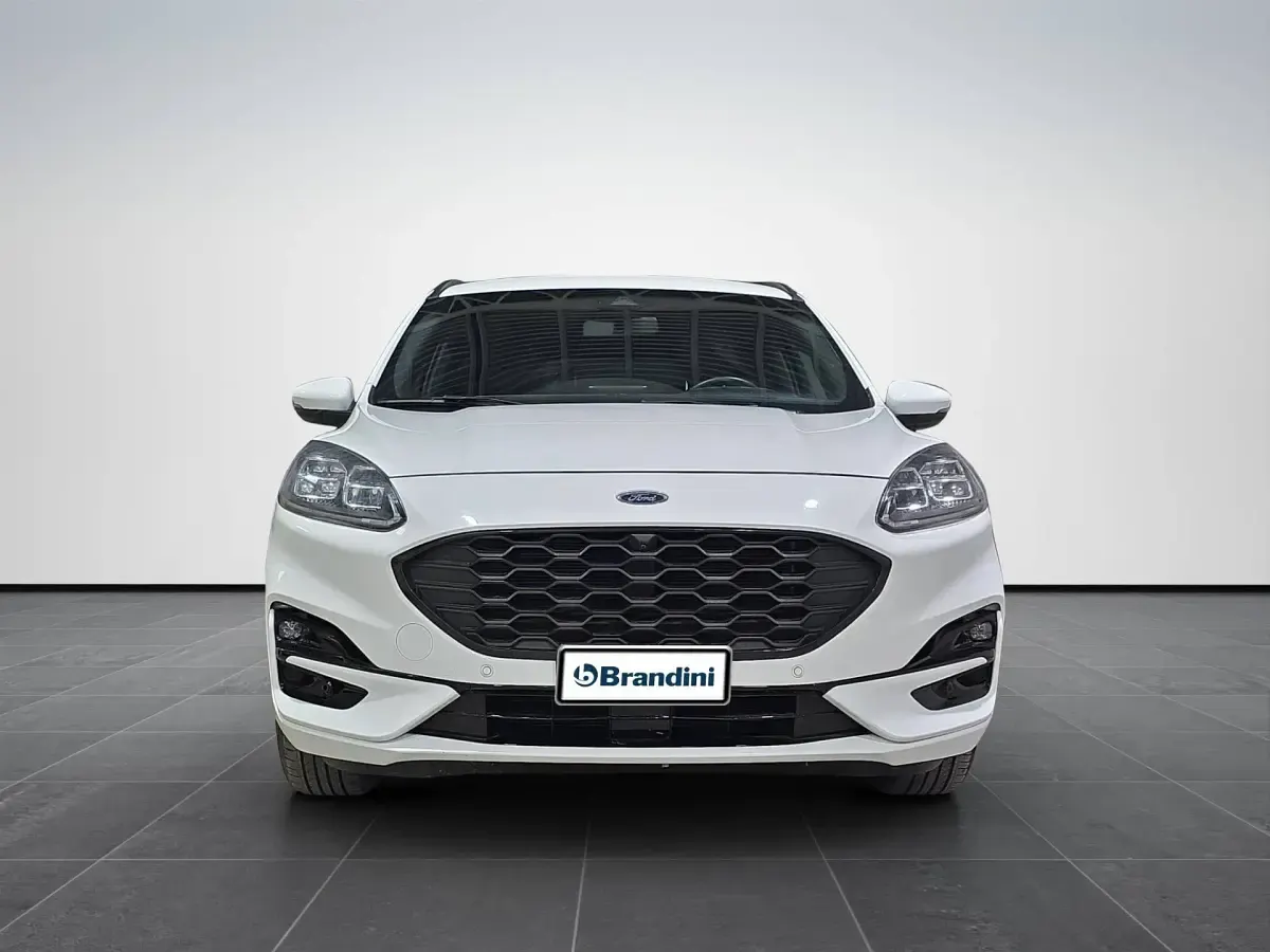 Usata Ford Kuga ST-Line X 120 CV (88 kW) 2023 Bianco SUV