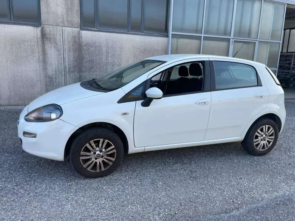 Usata Fiat Punto Lounge 69 CV (50 kW) 2015 Bianco Utilitaria