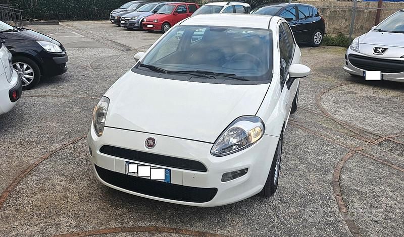 Usata Fiat Punto 75 CV (55 kW) 2014 Bianco Berlina