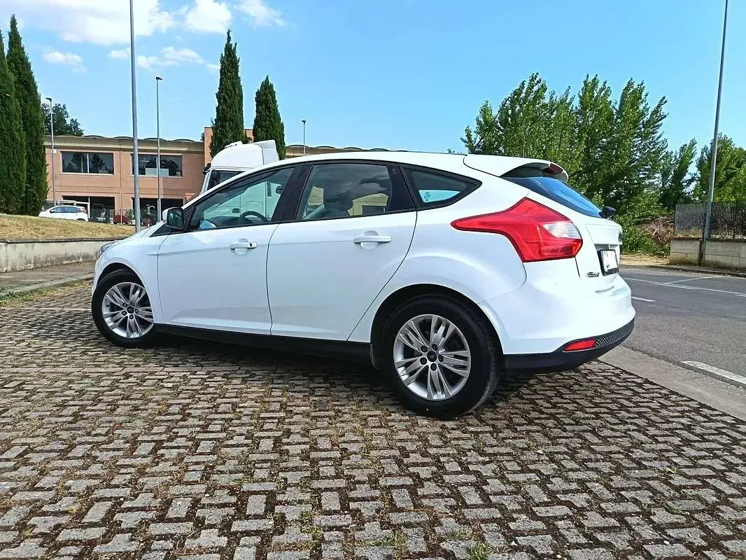 Usata Ford Focus 116 CV (85 kW) 2011 Bianco Berlina