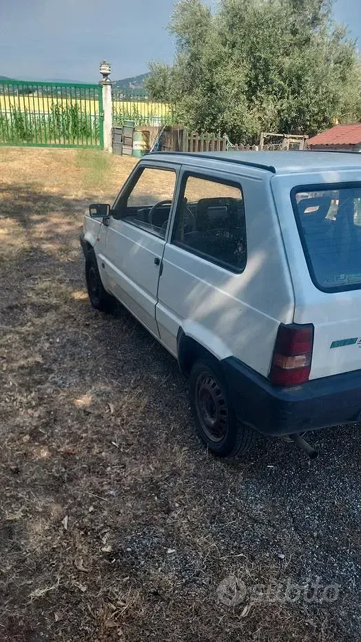 Usata Fiat Panda Young 39 CV (28 kW) 1998 Bianco Utilitaria
