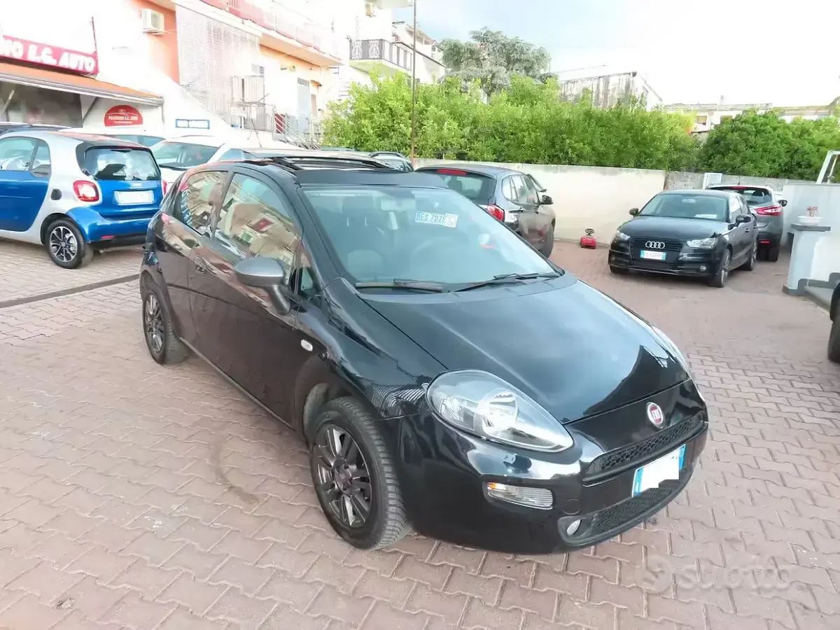 Usata Fiat Punto 77 CV (56 kW) 2015 Utilitaria