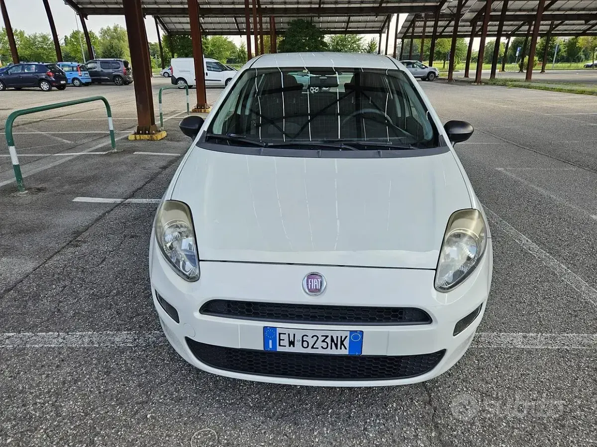 Usata Fiat Punto Lounge 69 CV (50 kW) 2014 Bianco Utilitaria