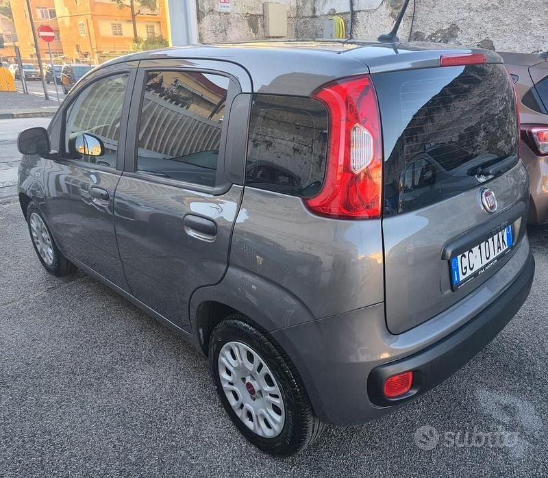 Usata Fiat Panda Easy 69 CV (50 kW) 2020 Grigio Utilitaria
