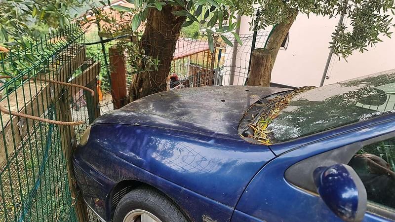 Usata Renault Mégane Coupé 150 CV (110 kW) 1999 Blu/azzurro Coupé