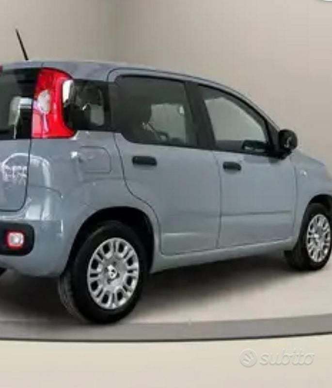 Usata Fiat Panda 70 CV (51 kW) 2021 Grigio Utilitaria