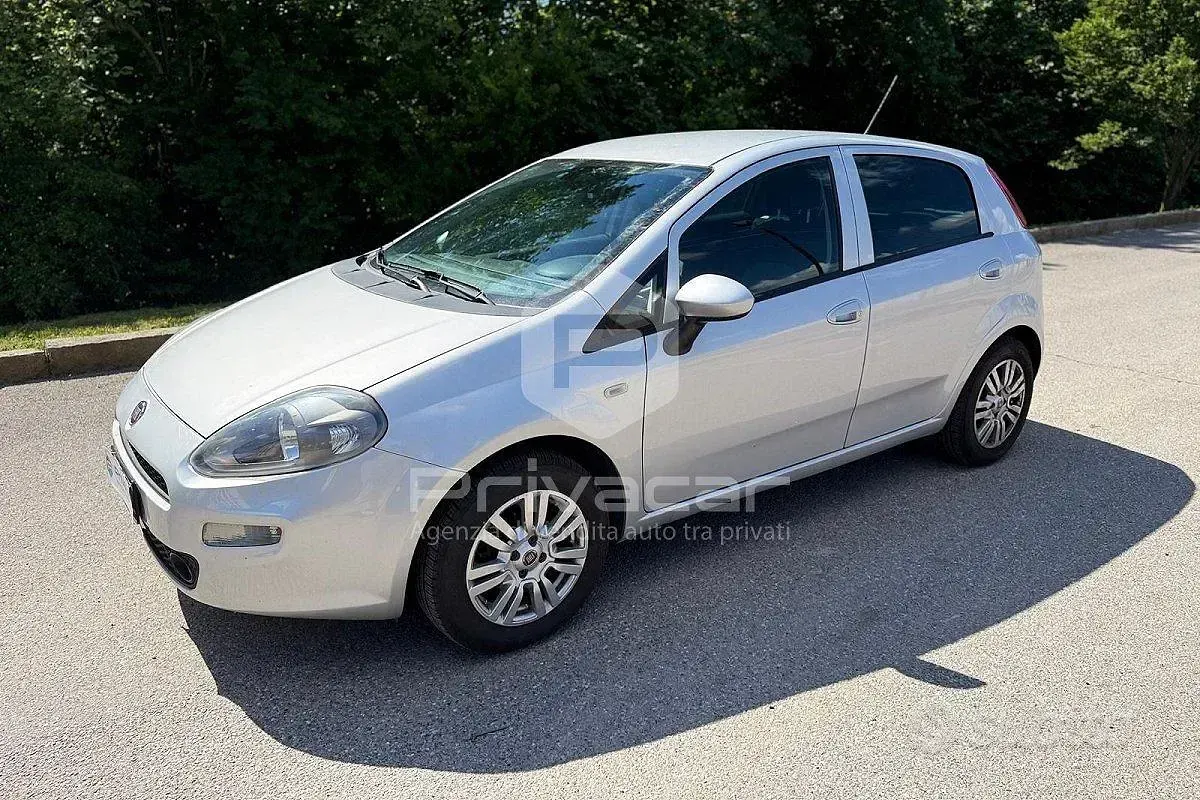 Usata Fiat Punto Lounge 77 CV (56 kW) 2017 Utilitaria