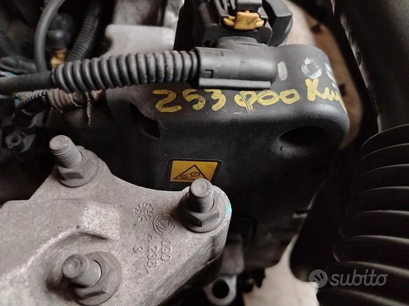 Usata Fiat Punto 77 CV (56 kW) 2009 Utilitaria
