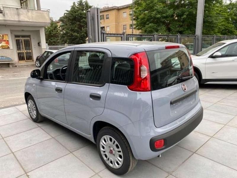 Usata Fiat Panda Easy 69 CV (50 kW) 2018 Grigio Utilitaria