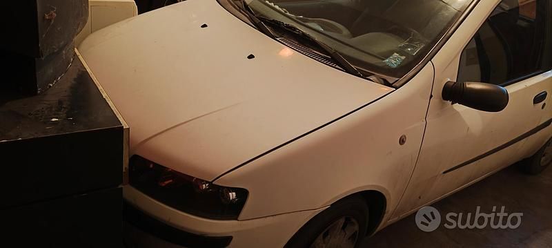 Usata Fiat Punto 2000 Utilitaria